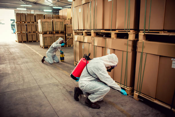 Best Best Pest Control Companies  in Versailles, IN