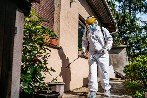 Best Mosquito Control Services  in Versailles, IN