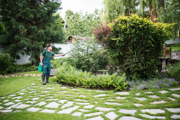 Best Pest Control for Homes  in Versailles, IN