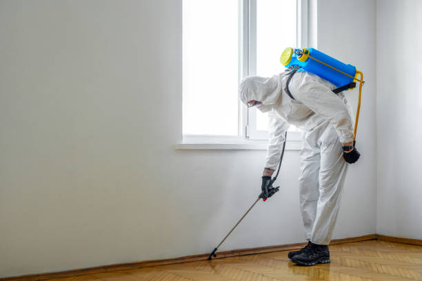 Pest Prevention Services in Versailles, IN