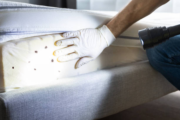 Best Exterminator Services  in Versailles, IN