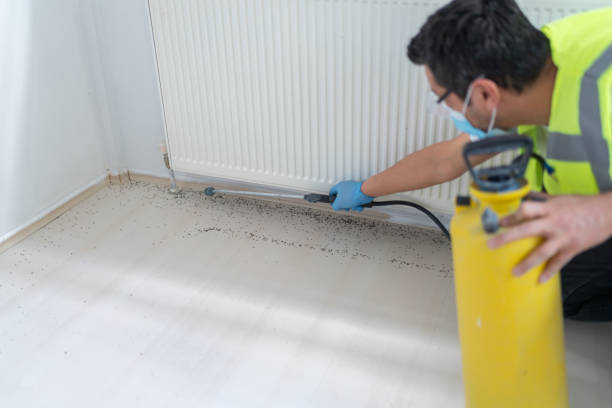 Best Affordable Exterminators  in Versailles, IN