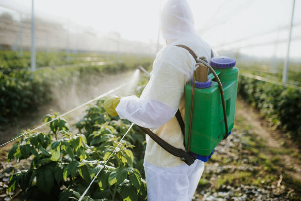Professional Pest Control in Versailles, IN